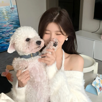 职场新豪(逆袭职场从整顿办公室开始)